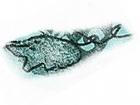 ���o/�K��